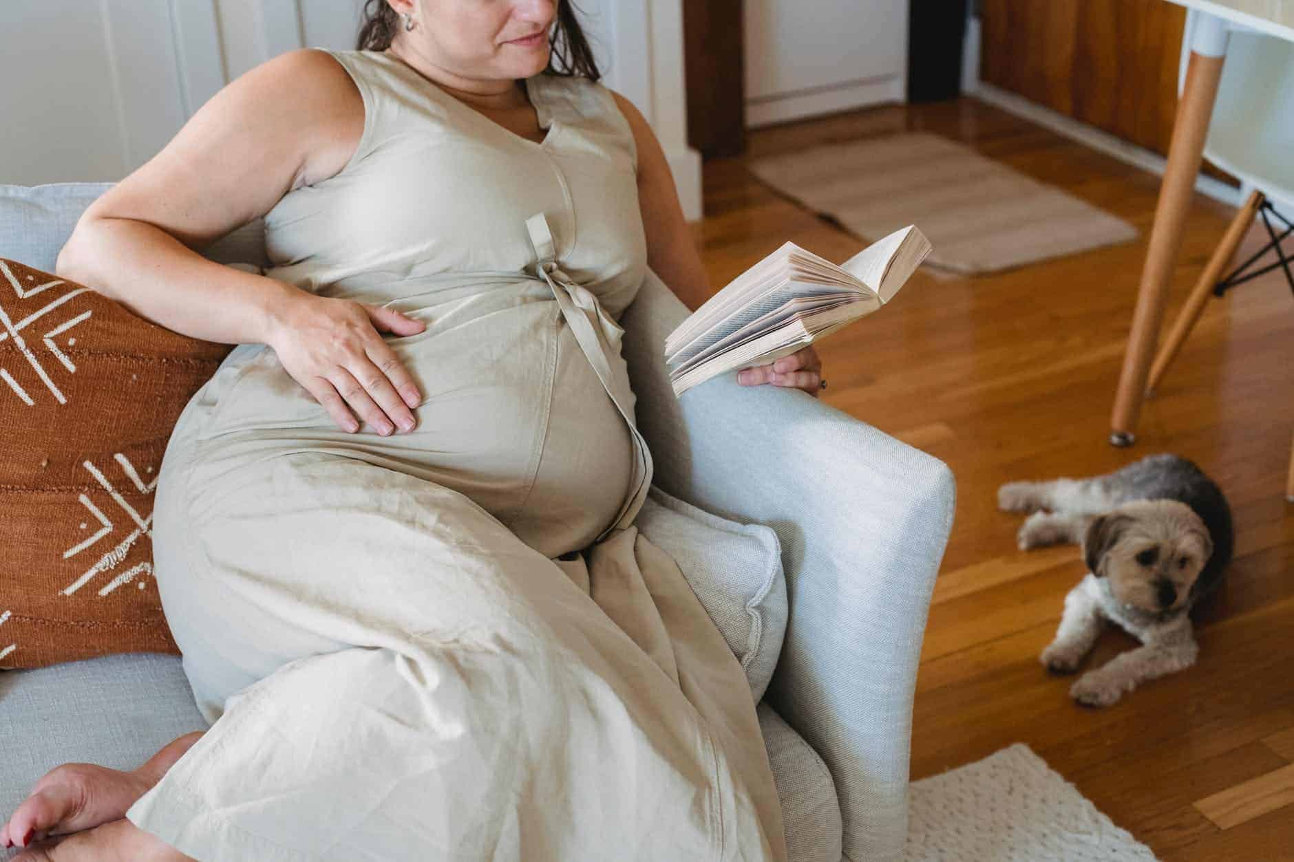 crop positive woman reading book while resting on couch with dog