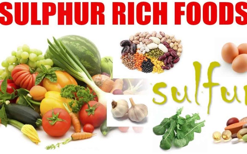 Sulphur Food Sources