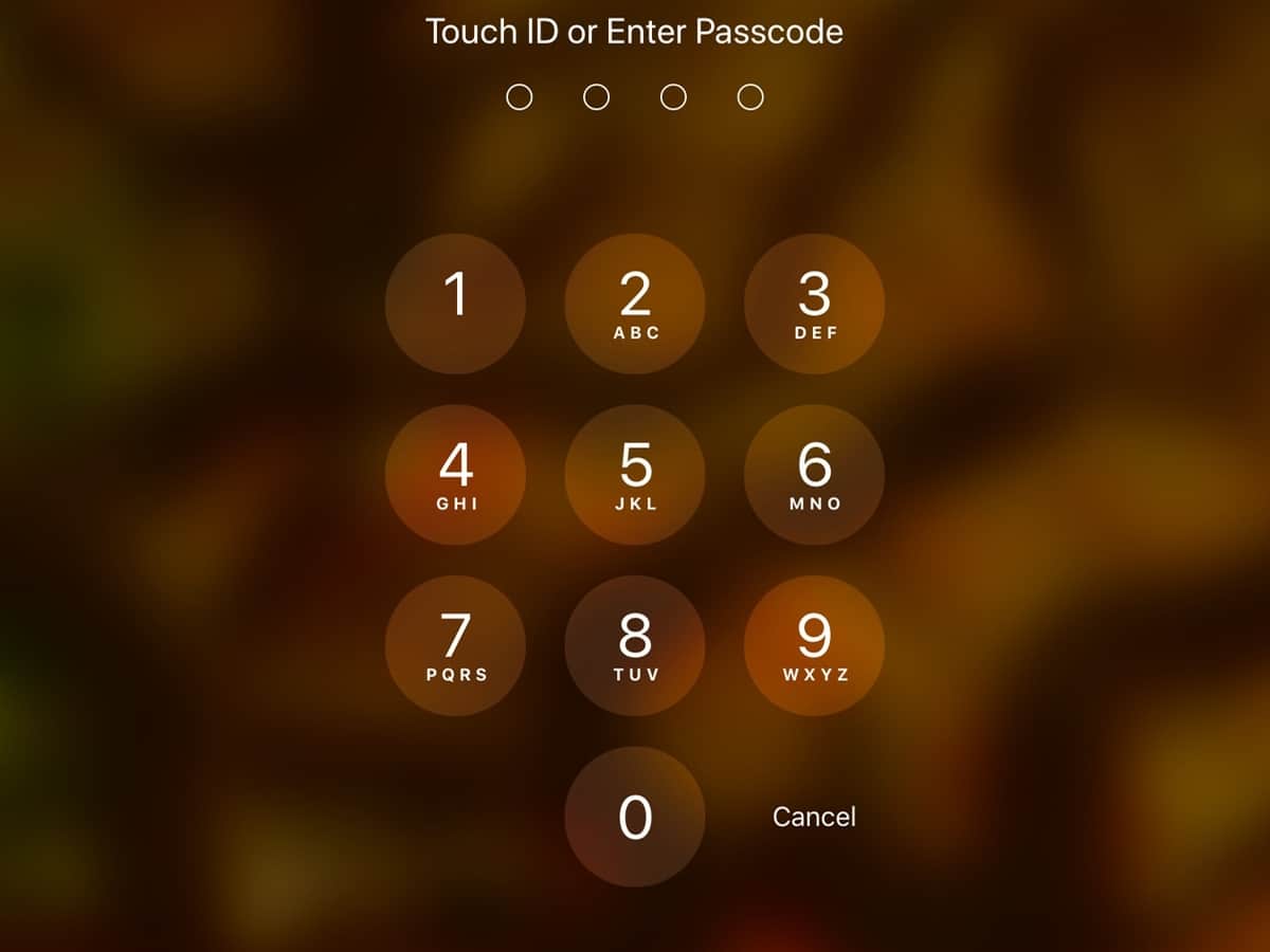 iPhone Password