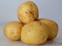 Irish potato