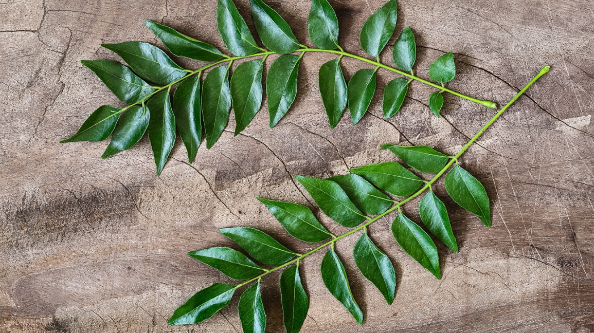 Curry leaves (Kadhipatta)