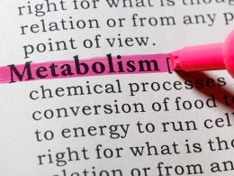 10 Foods That Can Promote Metabolism