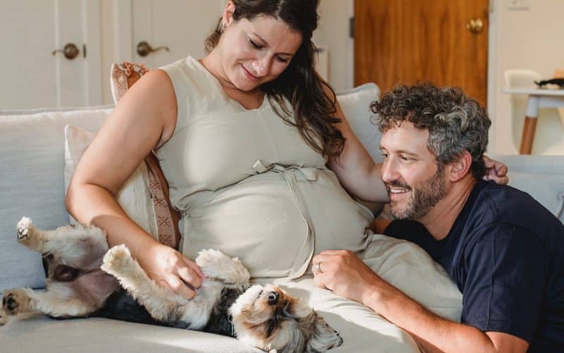 Cat, Pregnancy and Baby