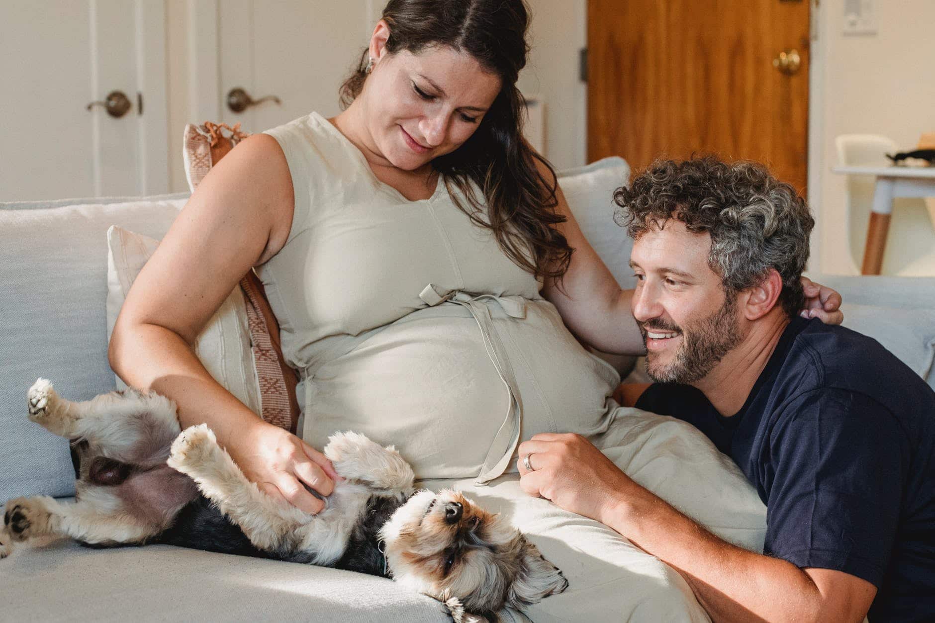 Cat, Pregnancy and Baby