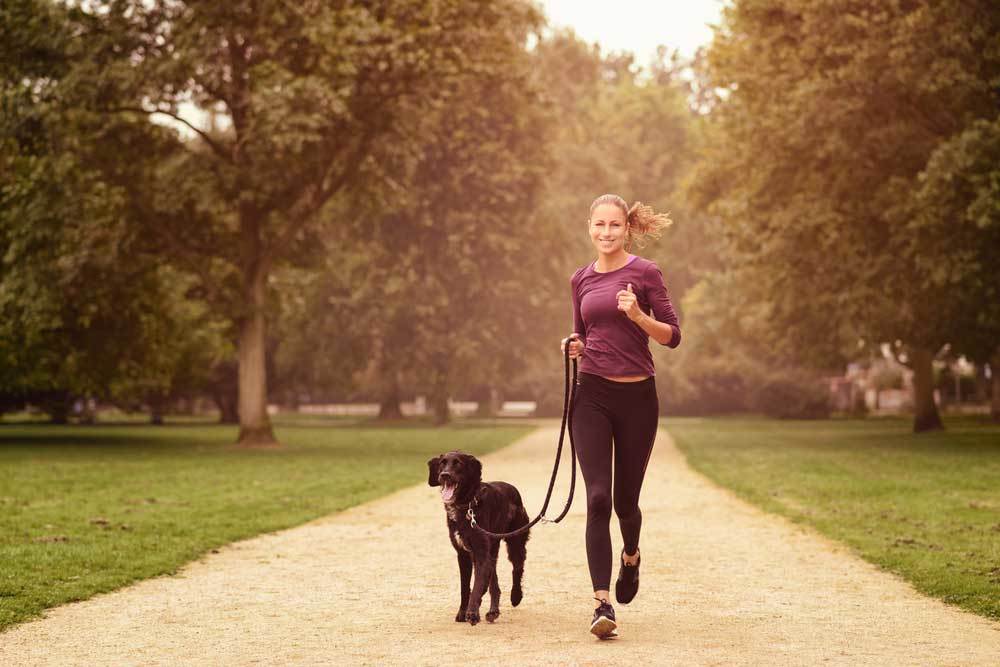 Dog Breeds for Fitness Enthusiasts