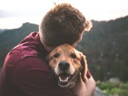 Ways to Make Your Dog More People-Friendly