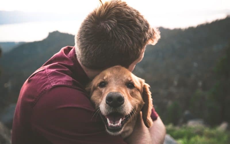 Ways to Make Your Dog More People-Friendly